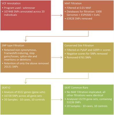 Deciphering Genetic Susceptibility to Tuberculous Meningitis